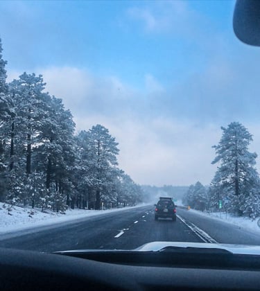 Snow covered landscape, road trip.