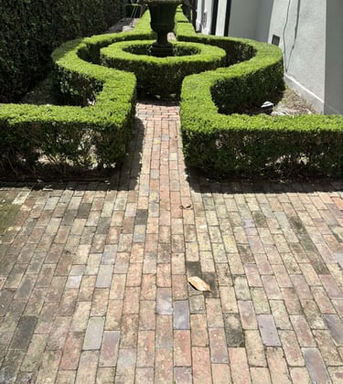 Before and After picture of a Backyard