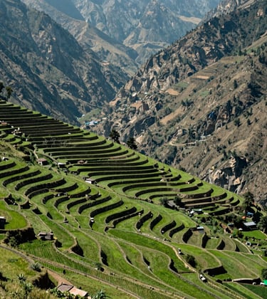 An expansive green land plot with tiered farming terraces in Uttarakhand, overlooking a deep valley, bright daylight, South Asian / Indian landscape.