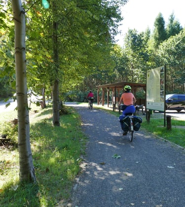 Ścieżka rowerowa przez Las Komorowski do Lasu Młochowskiego, parking leśny w Młochowie