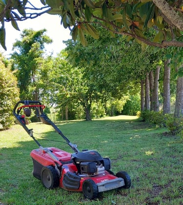 raseraba al-ko narni scalo terni umbria taglio erba pulizia giardino amelia 