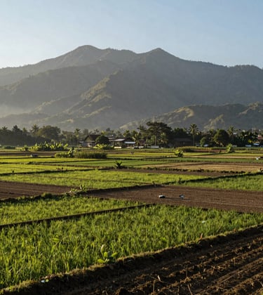 Landscape photography of a fertile and vast plot of land ready for development, featuring views of mountains in a Southeast Asian / Indonesian rural region. Crisp morning light.