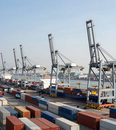 A panoramic photograph taken from a high vantage point overlooking the shipyard. The composition emphasizes the scale of the operations, featuring rows of colorful containers and giant cranes. The lighting is crisp daylight, with a palette of Silver Mist and Steel Blue.
