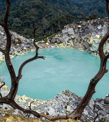 The surreal turquoise crater lake of Kawah Putih, Bandung, framed by white volcanic rocks and skeletal trees, with moss green forests in the background, professional Southeast Asian / Indonesian nature photography.