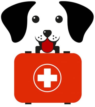 Comportementaliste canin à Sapignies