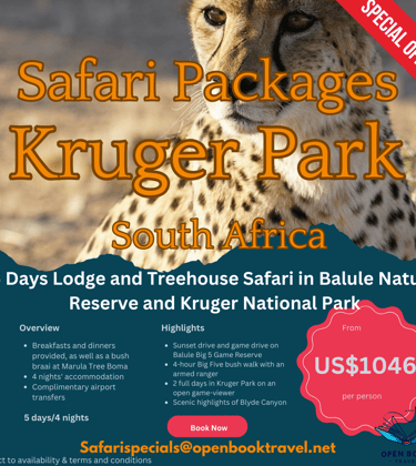 a cheetah poster for safari travel packages in Kruger national park