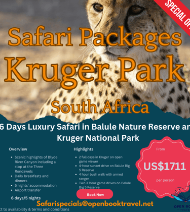 a cheetah poster showcasing safari Travel package deals