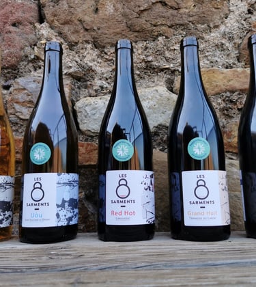 bouteilles de vins bio à acheter
