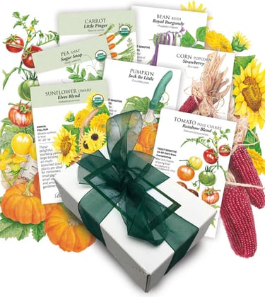 Children's Garden Bundle