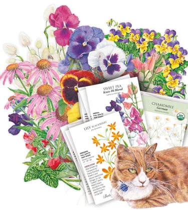 Alice's Garden Seed Bundle