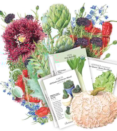 Game of Thrones Seed Bundle