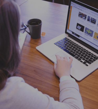 Serviços de Gestão de Projetos - MSN Consult