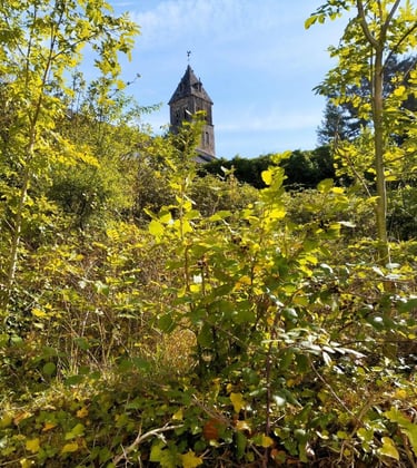 débroussaillage jardin à cluny