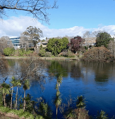 Waikato River in Hamilton Central from Parana Park