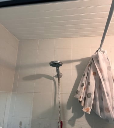 Fixation d'une pomme de douche