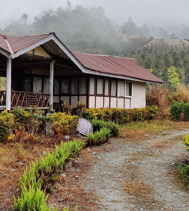 Travel Bagicha Arunachal Pradesh Tour