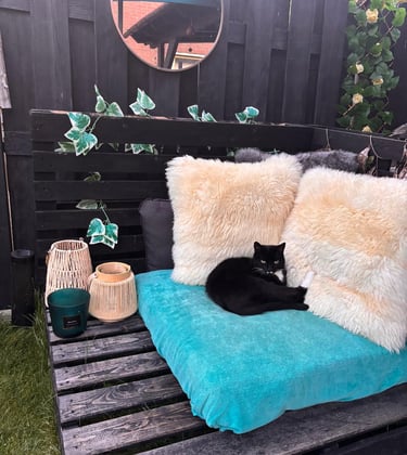 zwarte kat die buiten in de tuin op kussens ligt