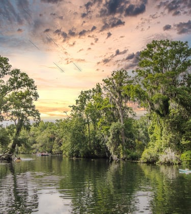 Chassahowitzka River, kayaking on the Chassahowitzka, florida's nature coast