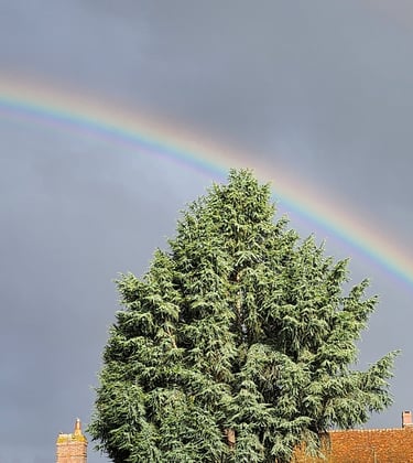 Arc en ciel : voir les couleurs dans un ciel sombre, voir le beau dans notre environnement.