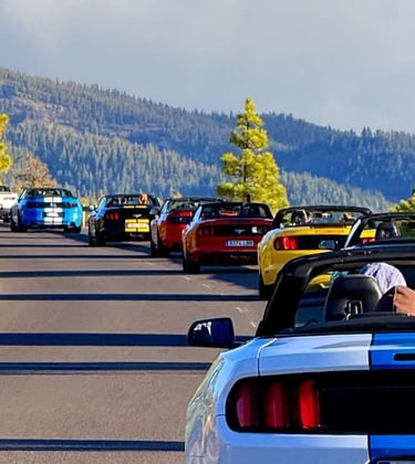 a group of people in a convertible car driving down a road