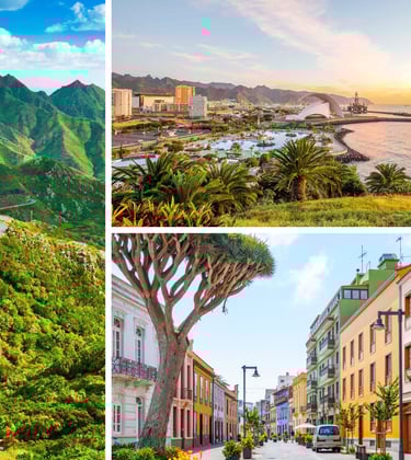 a collage of photos of a city