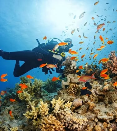 a person in a scuba suit and scuba gear