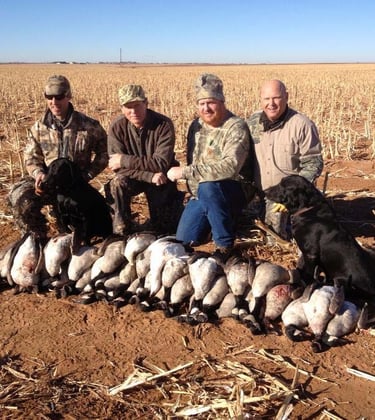 Four hunters and two black labs with a successful harvest of geese in a Texas Panhandle corn field.