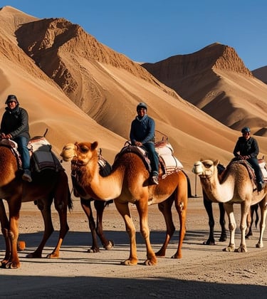 ladakh camel safari