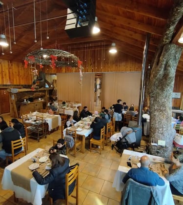 Restaurante cocina de autor.  Entre Victoria y Curacautin, cerca Conguillio, Corralco, Malalcahuello