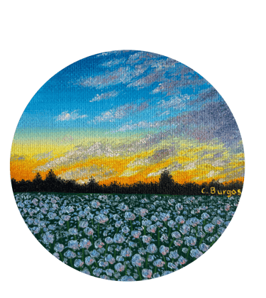 Atardecer en el campo