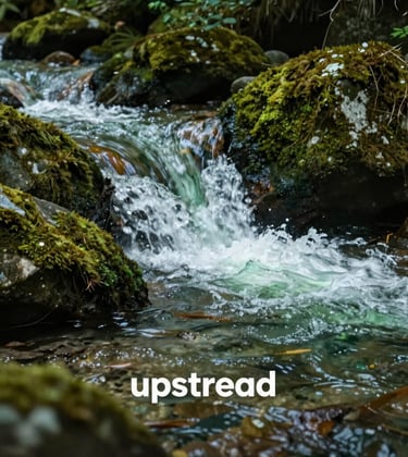 An artistic macro photograph of a mountain stream showing clear, rushing water over mossy stones in deep forest green and pale green hues. The image represents the 'upstream' philosophy of the brand with scientific precision and natural beauty.