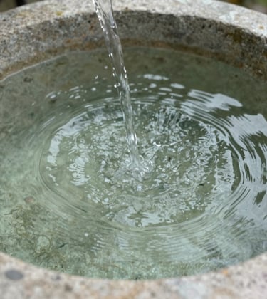 A detailed macro photograph of clear water ripples in a stone basin, representing systemic flow and the concept of upstream changes. The lighting is soft and neutral, with a palette of soft moss and sage green. North American setting.