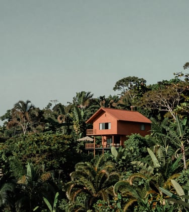 South American / Brazilian nature landscape, minimalist photography, muted terracotta and sage green tones, an exclusive eco-lodge hidden in the rainforest, understated luxury.