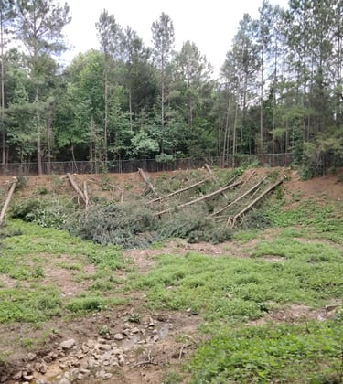 retention pond clearing by north gerogia clearing and excavation llc