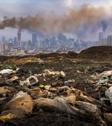 A city overview with brown smoke from chimneys and garbages on the ground