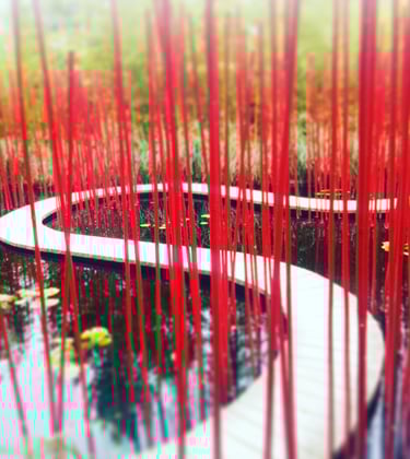 chemin humaniste / hypnose humaniste