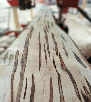 Ambrosia Maple