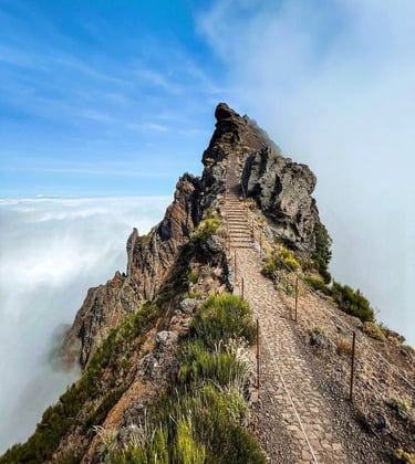 Scenic view of the Stairway to Heaven hiking trail in Madeira, featuring lush landscapes and panoram