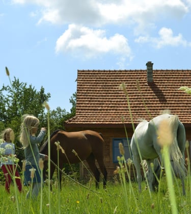 Sękiewiczówka - agroturystyka małopolska - gospodarstwo agroturystyczne dla dzieci - obozy konne