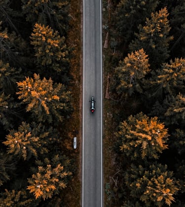A high-angle cinematic drone shot looking straight down at a winding road through a dense forest in a Global / International mountain region. A charcoal grey motorcycle is visible on the road, creating a sense of scale and adventure, with lighting that emphasizes deep shadows and burnt orange highlights in the foliage.