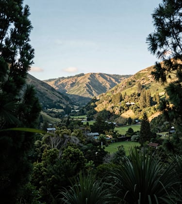 A peaceful landscape photograph of the lush, forested valley leading to Hanmer Springs, Oceania / New Zealand. The lighting is soft afternoon sun, emphasizing a stress-free and relaxing atmosphere with professional depth of field and soft green and light blue tones.