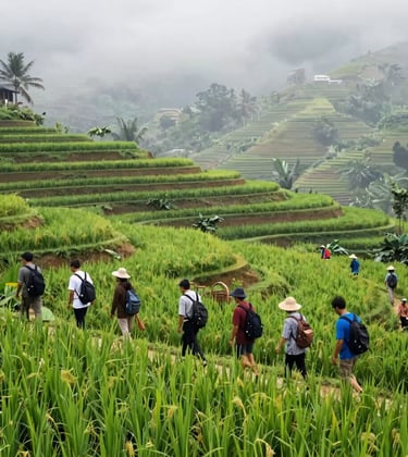 A small group of travelers walking through a vibrant green rice terrace during a soft misty white morning. Focus on sustainable and respectful tourism.