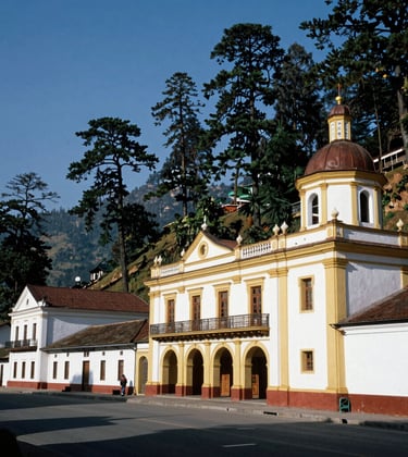 A professional architectural travel photograph of the historic colonial structures on Shimla's Mall Road, surrounded by deep green pine trees on mountain slopes under a clear South Asian blue sky.