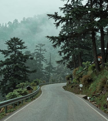 A serene view of a mountain road winding through cedar forests in Shimla, misty atmosphere, South Asian / Indian hill station charm, soft sage green and aqua tones in the lighting.