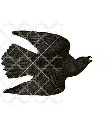 Elegantes grafisches Ornament mit fliegenden Vögeln als Symbol für Trauerkommunikation
