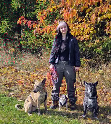 Mel bei Dogwalking in Leipzig mit ihrer kleinen Gruppe