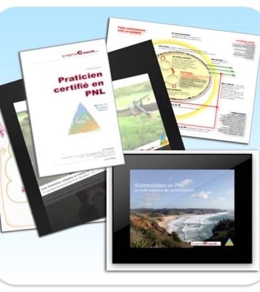 PNL Systemique Formation de Video et Manuels Rennes Lyon Paris Belgique Canada Tunisie