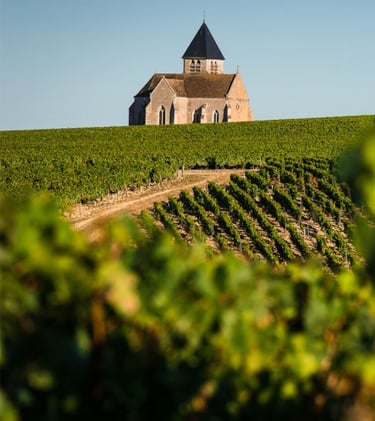 caviste en ligne vin premium Haute-Savoie et Annecy