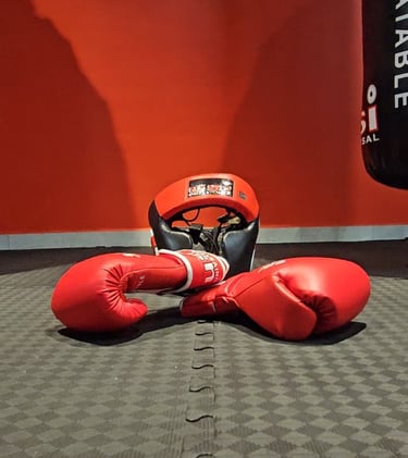 Best mma classes in Delhi