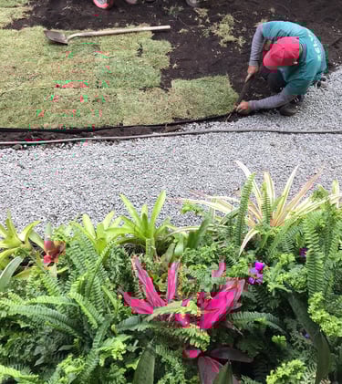 instalacion de jardines